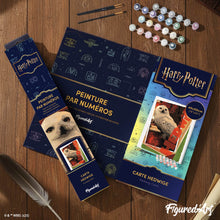 Load image into Gallery viewer, Harry Potter - Hedwig Card