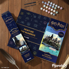 Load image into Gallery viewer, Harry Potter - Hogwarts Castle