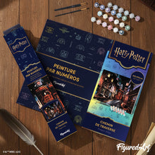 Load image into Gallery viewer, Harry Potter - Diagon Alley