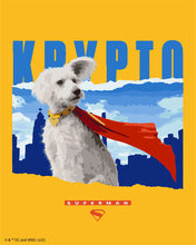 Load image into Gallery viewer, Paint by numbers kit for adults Superman - Krypto with Skyline Figured'Art UK