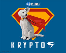 Load image into Gallery viewer, Paint by numbers kit for adults Superman - Krypto with S-Shield Figured'Art UK