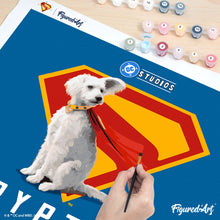Load image into Gallery viewer, Superman - Krypto with S-Shield
