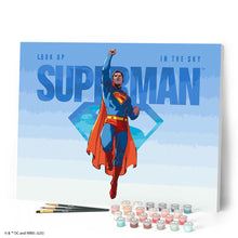 Load image into Gallery viewer, Superman Sky Flight
