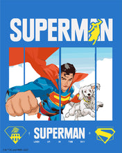 Load image into Gallery viewer, Paint by numbers kit for adults Superman Flying with Krypto Figured'Art UK