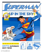 Load image into Gallery viewer, Paint by numbers kit for adults Superman Up in the Sky Figured'Art UK