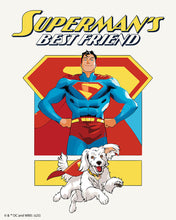 Load image into Gallery viewer, Paint by numbers kit for adults Superman's Best Friend Figured'Art UK