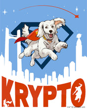 Load image into Gallery viewer, Paint by numbers kit for adults Superman - Flying Krypto Figured'Art UK
