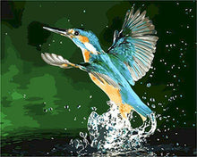 Load image into Gallery viewer, paint by numbers | kingfisher taking flight | new arrivals animals birds easy | FiguredArt