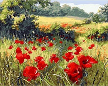 Load image into Gallery viewer, paint by numbers | field of poppies in the countryside | new arrivals landscapes flowers intermediate | FiguredArt