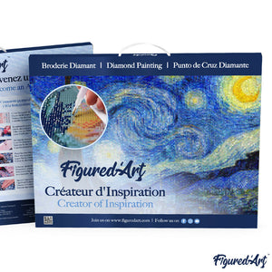 Diamond Painting - Starry Night 40x50cm canvas already framed