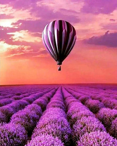 paint by numbers | hot balloon and field of lavender | new arrivals landscapes flowers advanced | FiguredArt