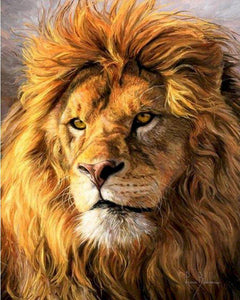 paint by numbers | lion portrait | new arrivals animals lions advanced | FiguredArt