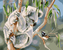 Load image into Gallery viewer, Paint by Numbers - Koala and bird