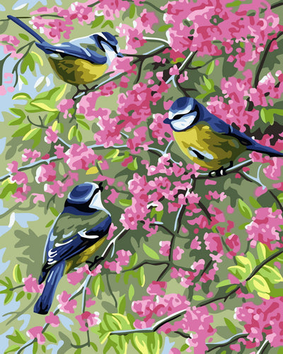 Paint by Numbers - Three birds on flowery branches