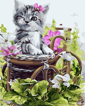 Load image into Gallery viewer, Paint by Numbers - Cute gray kitten