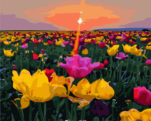 Paint by Numbers - Sunset and flower fields