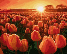 Load image into Gallery viewer, Paint by Numbers - Tulips at sunrise