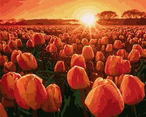 Paint by Numbers - Tulips at sunrise