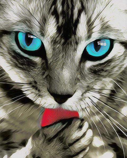Paint by numbers | Beautiful Cat with Blue Eyes | animals cats intermediate | Figured'Art
