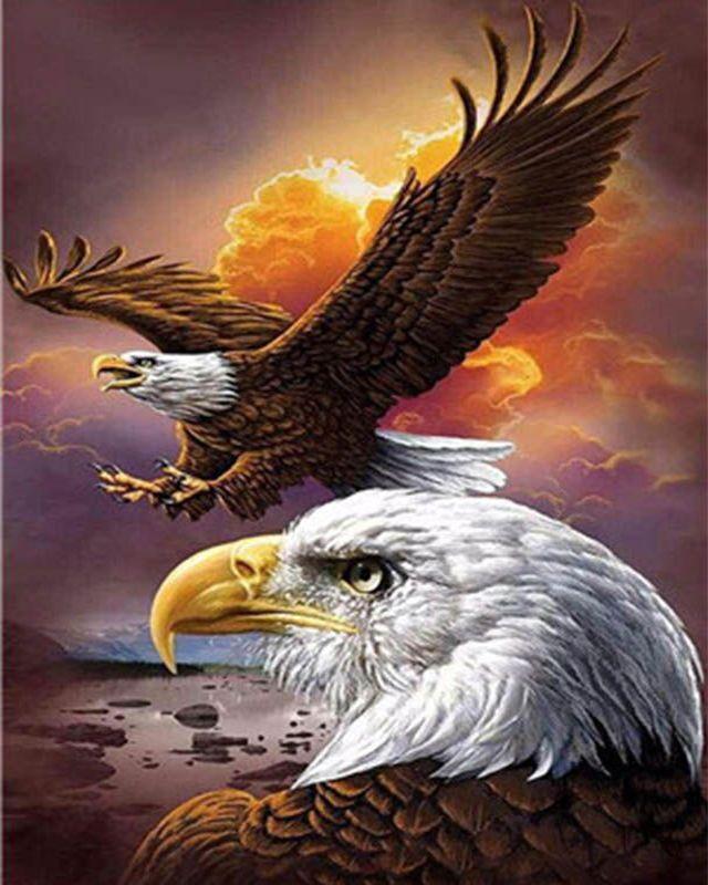 Paint by numbers | The American Eagle | eagles animals intermediate birds | Figured'Art