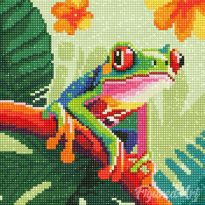 Mini Diamond Painting 25x25cm - Tropical Red-Eyed Tree Frog