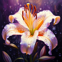 Load image into Gallery viewer, Mini Diamond Painting 25x25cm - Lily Bloom Figured&#39;Art UK