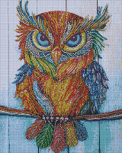 Load image into Gallery viewer, Diamond Painting - Owl and Rhinestones