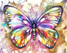 Load image into Gallery viewer, Stamped Cross Stitch Kit - Butterfly and Colors
