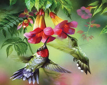 Load image into Gallery viewer, Diamond Painting - Colibris and their flowers