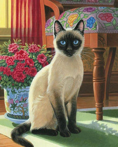 Diamond Painting - Cat with blue eyes