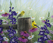 Load image into Gallery viewer, Paint by numbers Goldfinch Birds Figured&#39;Art new arrivals, intermediate, animals, birds, flowers