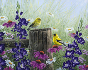 Paint by numbers Goldfinch Birds Figured'Art new arrivals, intermediate, animals, birds, flowers