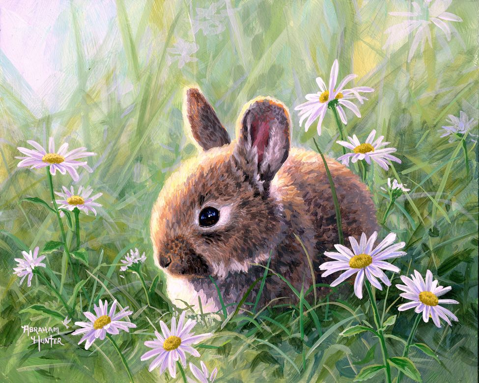 Paint by numbers Rabbit and Oxeye daisy Figured'Art new arrivals, intermediate, animals, rabbits