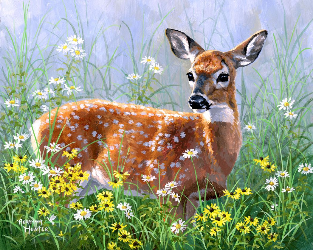 Paint by numbers Doe in the meadow Figured'Art new arrivals, intermediate, animals, deer