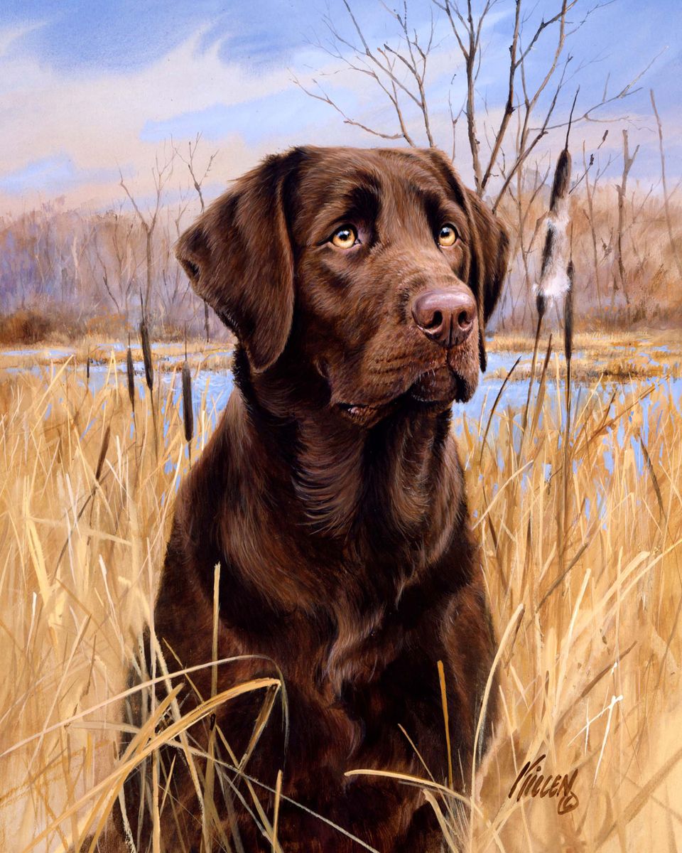 Paint by numbers Labrador Figured'Art new arrivals, advanced, animals, dogs