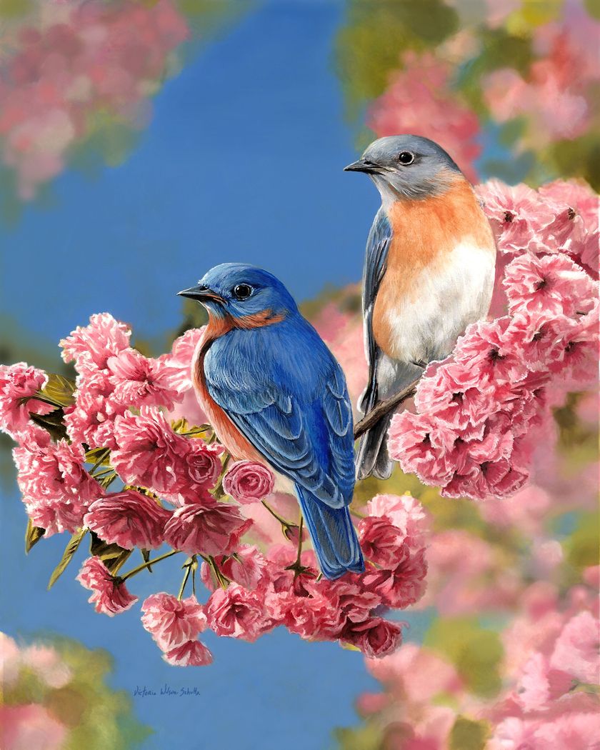 Paint by numbers Bluebirds Figured'Art new arrivals, intermediate, animals, birds