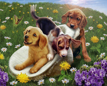 Load image into Gallery viewer, Paint by numbers | Games with friends | animals dogs flowers intermediate new arrivals | Figured&#39;Art