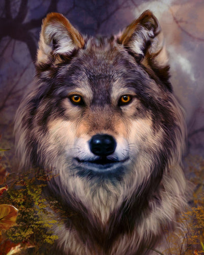 Paint by numbers | Wolf head | animals intermediate wolves new arrivals | Figured'Art