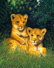 Load image into Gallery viewer, Paint by numbers | Lion cubs | animals advanced lions new arrivals | Figured&#39;Art