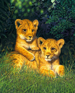 Paint by numbers | Lion cubs | animals advanced lions new arrivals | Figured'Art