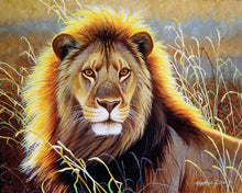 Load image into Gallery viewer, Paint by numbers | Lion in the savannah | animals intermediate lions new arrivals | Figured&#39;Art