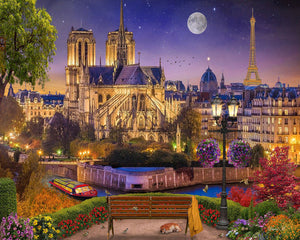 Paint by numbers | Notre-Dame and Eiffel Tower at night | advanced new arrivals landscapes cities | Figured'Art