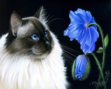 Load image into Gallery viewer, Paint by numbers | Face to face Flowers | animals cats easy flowers new arrivals | Figured&#39;Art