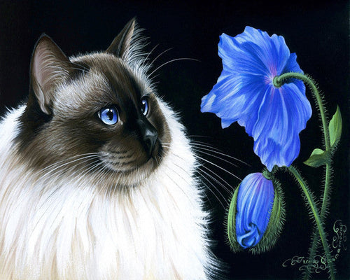 Paint by numbers | Face to face Flowers | animals cats easy flowers new arrivals | Figured'Art