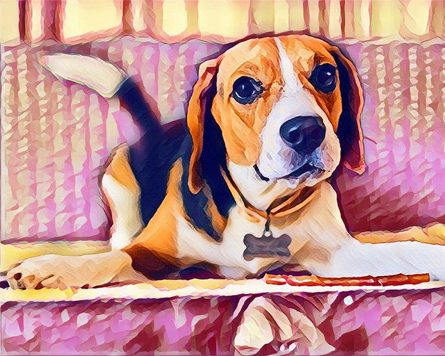 Diamond Painting - Cute Beagle 40x50cm canvas already framed
