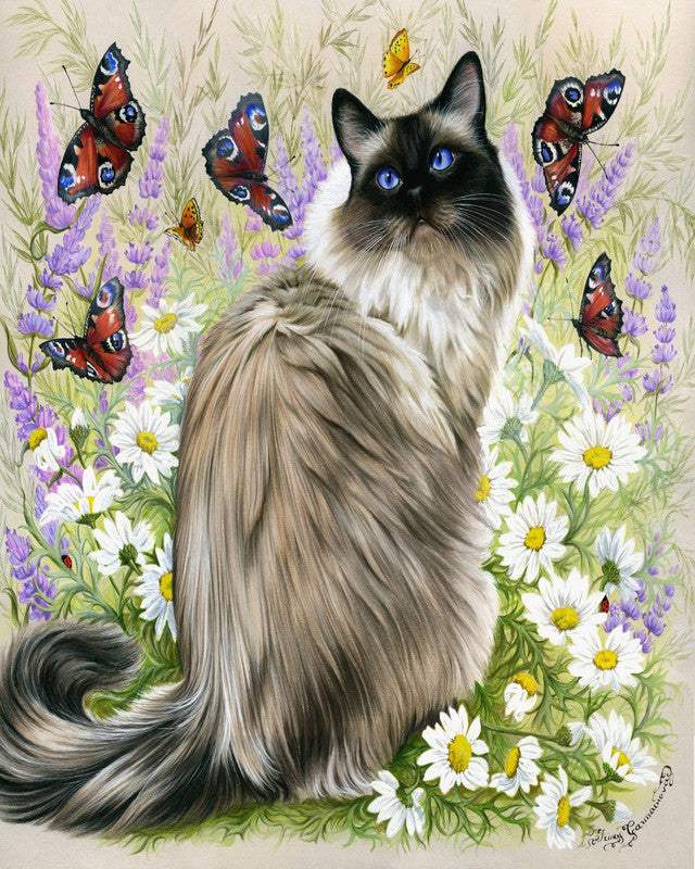 Paint by numbers | Discovery of butterflies | animals cats flowers intermediate new arrivals butterflies | Figured'Art