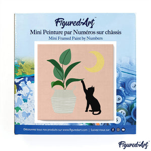 Mini Paint by numbers Cat plays with plant in the moonlight 20x20cm already framed