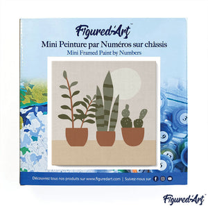 Mini Paint by numbers Three plant pots 20x20cm already framed