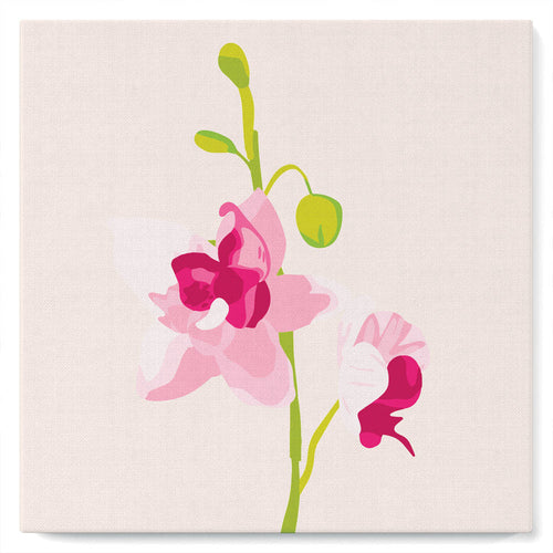 Mini Paint by numbers Pink Orchids Set 1 of 4 20x20cm already framed