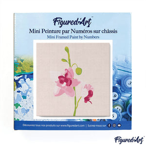 Mini Paint by numbers Pink Orchids Set 1 of 4 20x20cm already framed